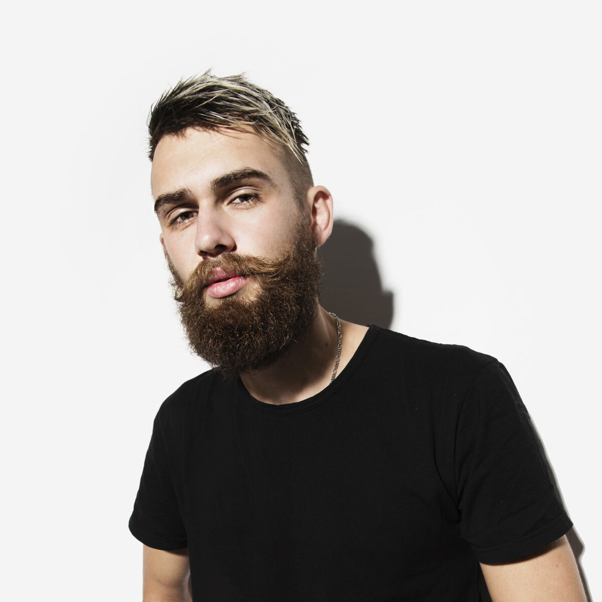 services-ii-creativo-camaal