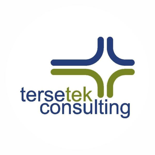 Logo Design for Tersetek Consulting USA