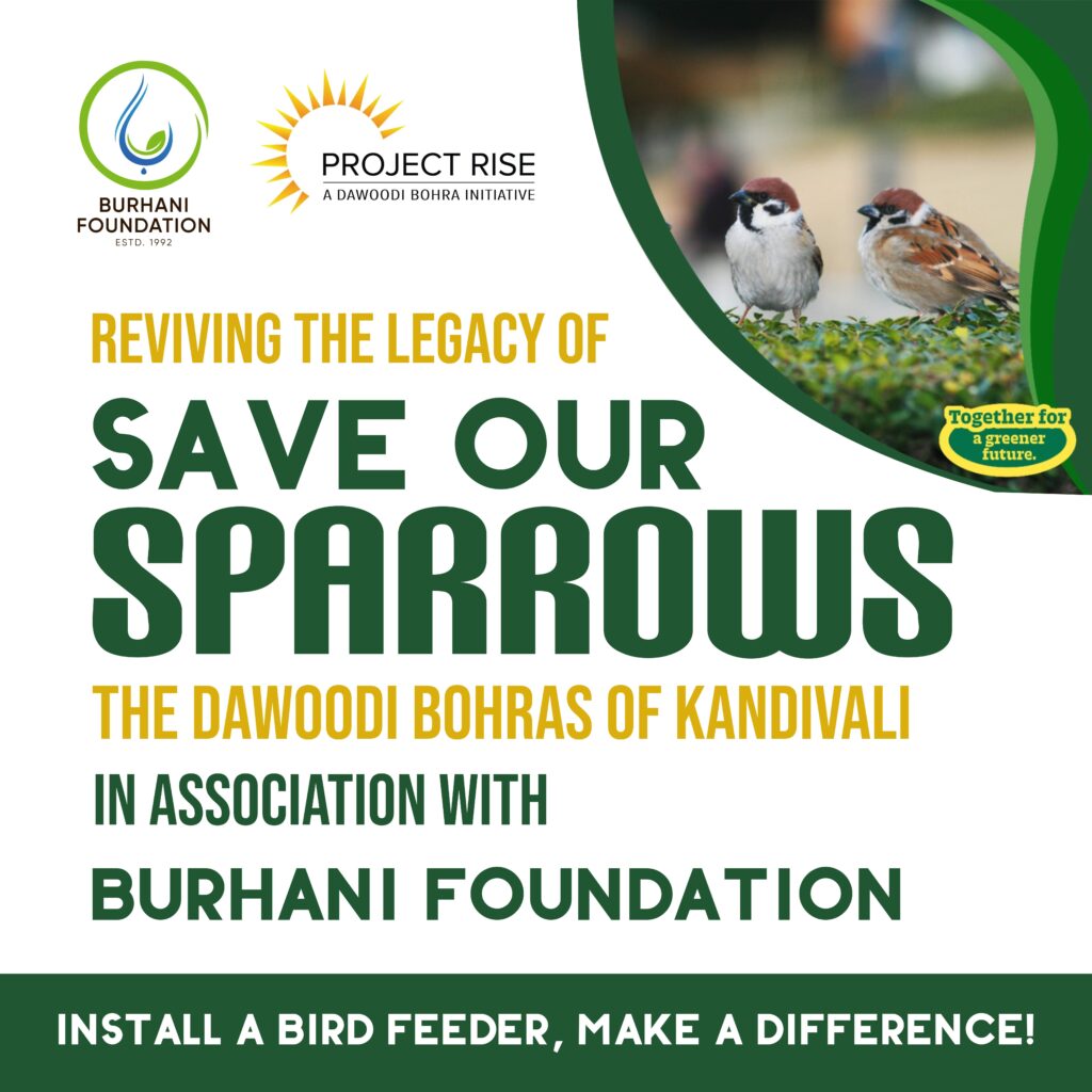 Social Media Square Post Design for Instagram Facebook Twitter X and also Hoarding Design for Save Our Sparrows Campaign of Dawoodi Bohra Burhani Foundation Projecdt Rise A Dawoodi Bohra Initiative Install A Bird Feeder, Make a Difference