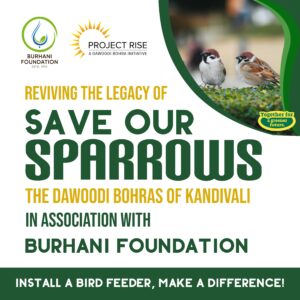 Social Media Square Post Design for Instagram Facebook Twitter X and also Hoarding Design for Save Our Sparrows Campaign of Dawoodi Bohra Burhani Foundation Projecdt Rise A Dawoodi Bohra Initiative Install A Bird Feeder, Make a Difference