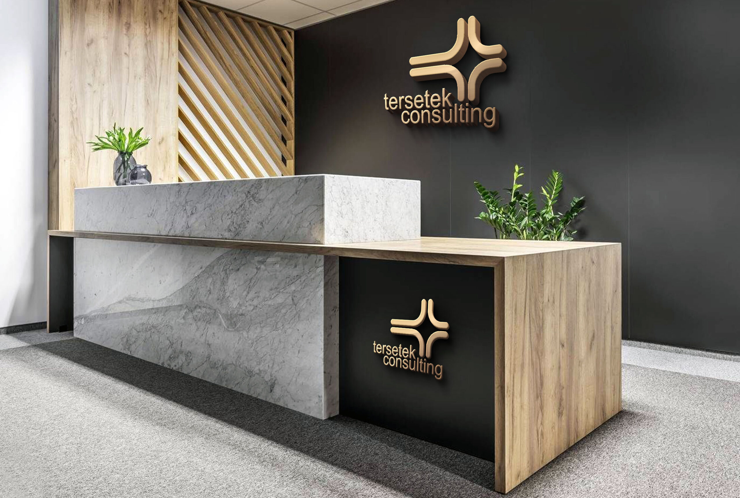 Logo Design for Tersetek Consulting USA by Creativo Camaal Freelance Graphic Designer from Mumbai India